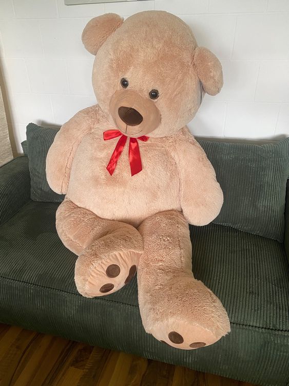 Riesen Teddybar 400 Cm