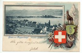 Gruss aus RAPPERSWIL Präge-AK Bergsteiger