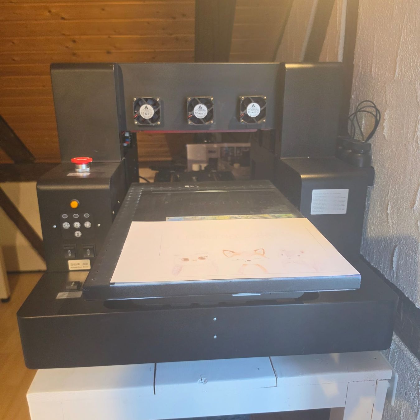 UV-Flachbettdrucker L800/L805 – 300×500 mm – Flaschendruck – (Gebraucht ...