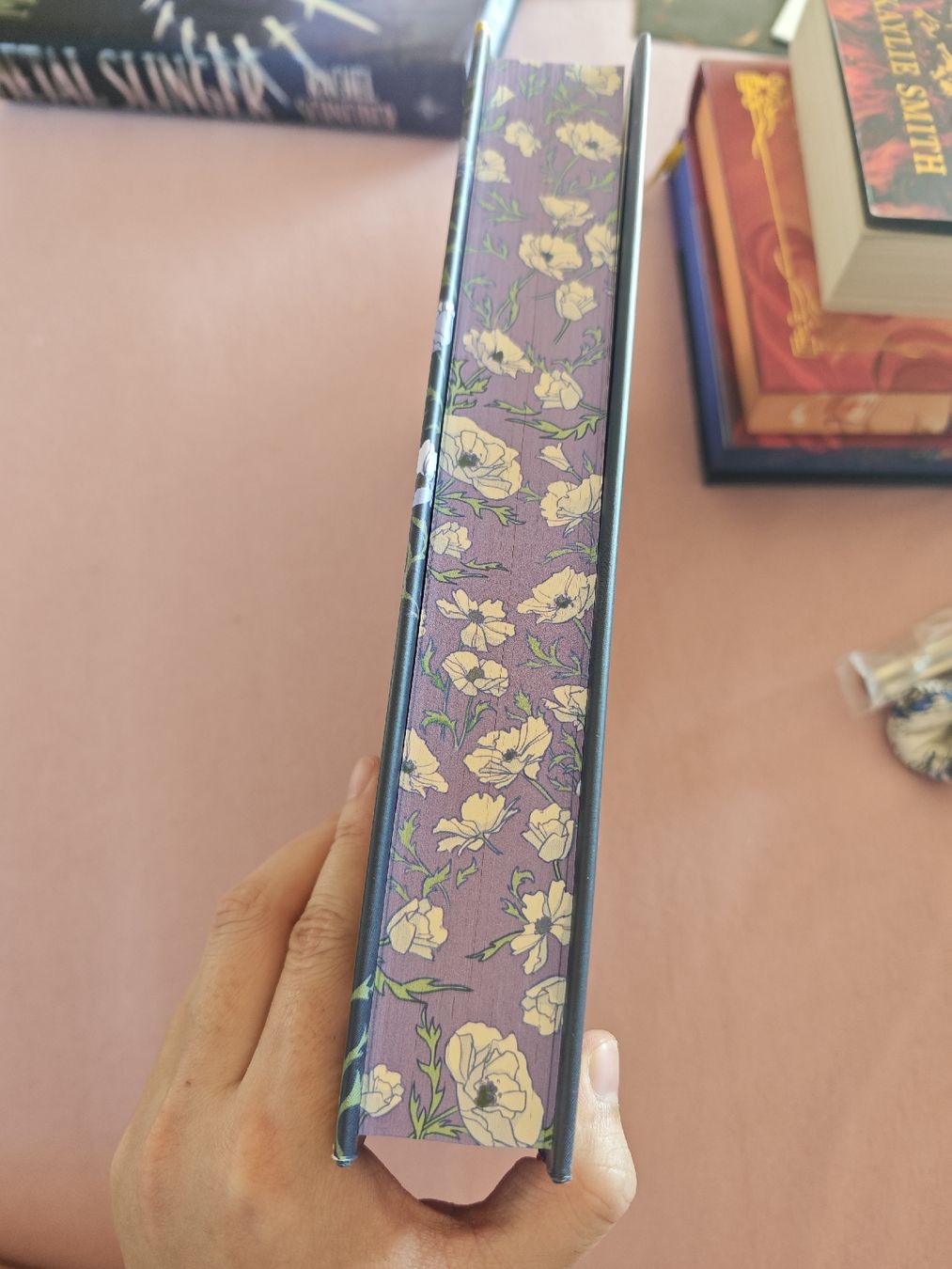 Bücher: Wild Reverence by Rebecca Ross – Neu (gemäss Beschreibung) aus Grandvaux von Freezemoon 2
