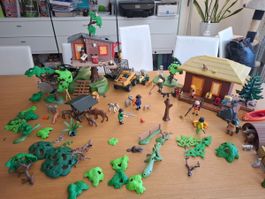 Grosses Playmobil Set Wildnis mit viel Zubehör!