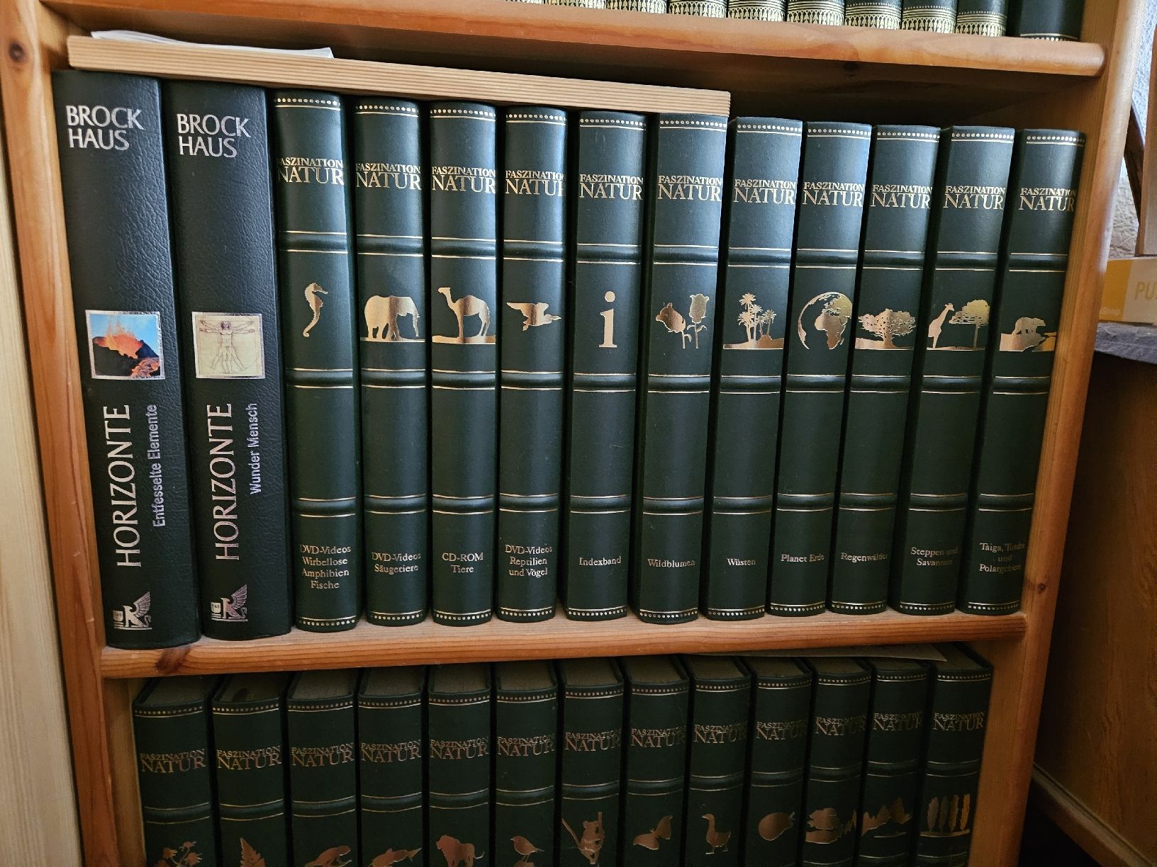 Libri: Komplette Bertelsmann sammlung  – Nuovo (secondo la descrizione) da ZÜRICH venduto da Angelo85