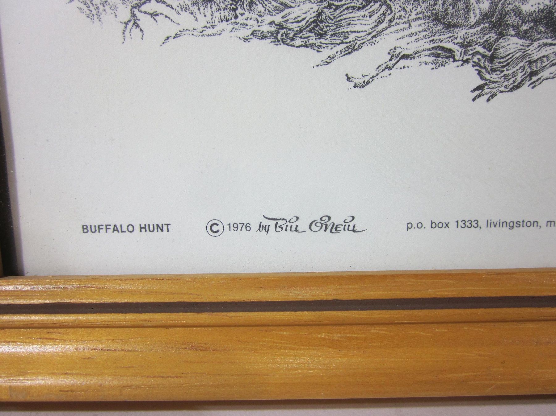 Bücher: Die Bisonjagd Print 1976 – Gebraucht aus Bäretswil von robsonantik 2