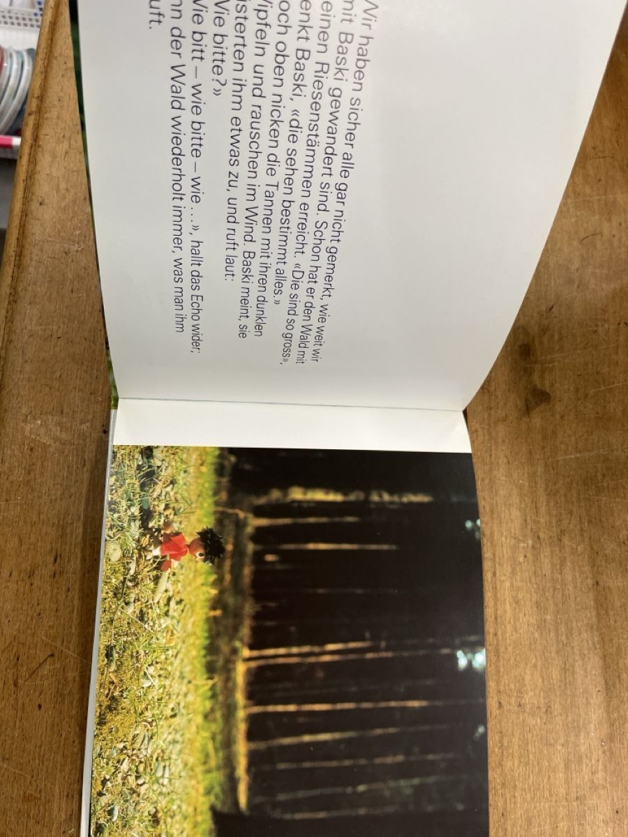 Libri: Baski Buch auf der Sommerwiese – Usato da Willisau venduto da AnNis_B. 1