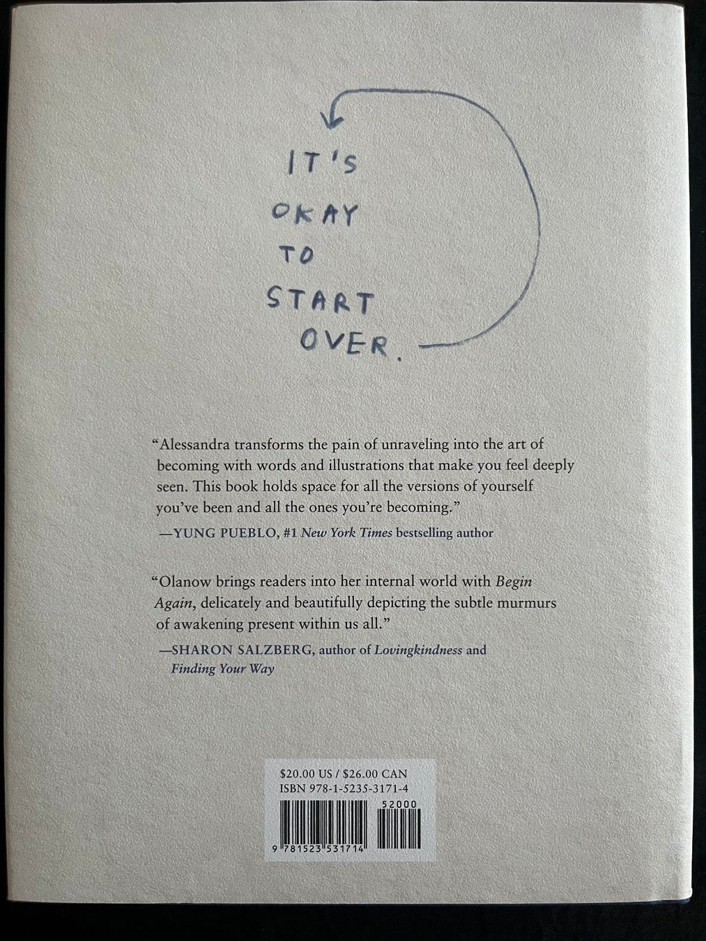 Livres: Begin Again, and Again, and Again by Alessandra Olanow – Neuf (Voir description) à Basel par Summerlady 1