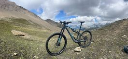 Canyon Lux Trail 2021 Gr. M