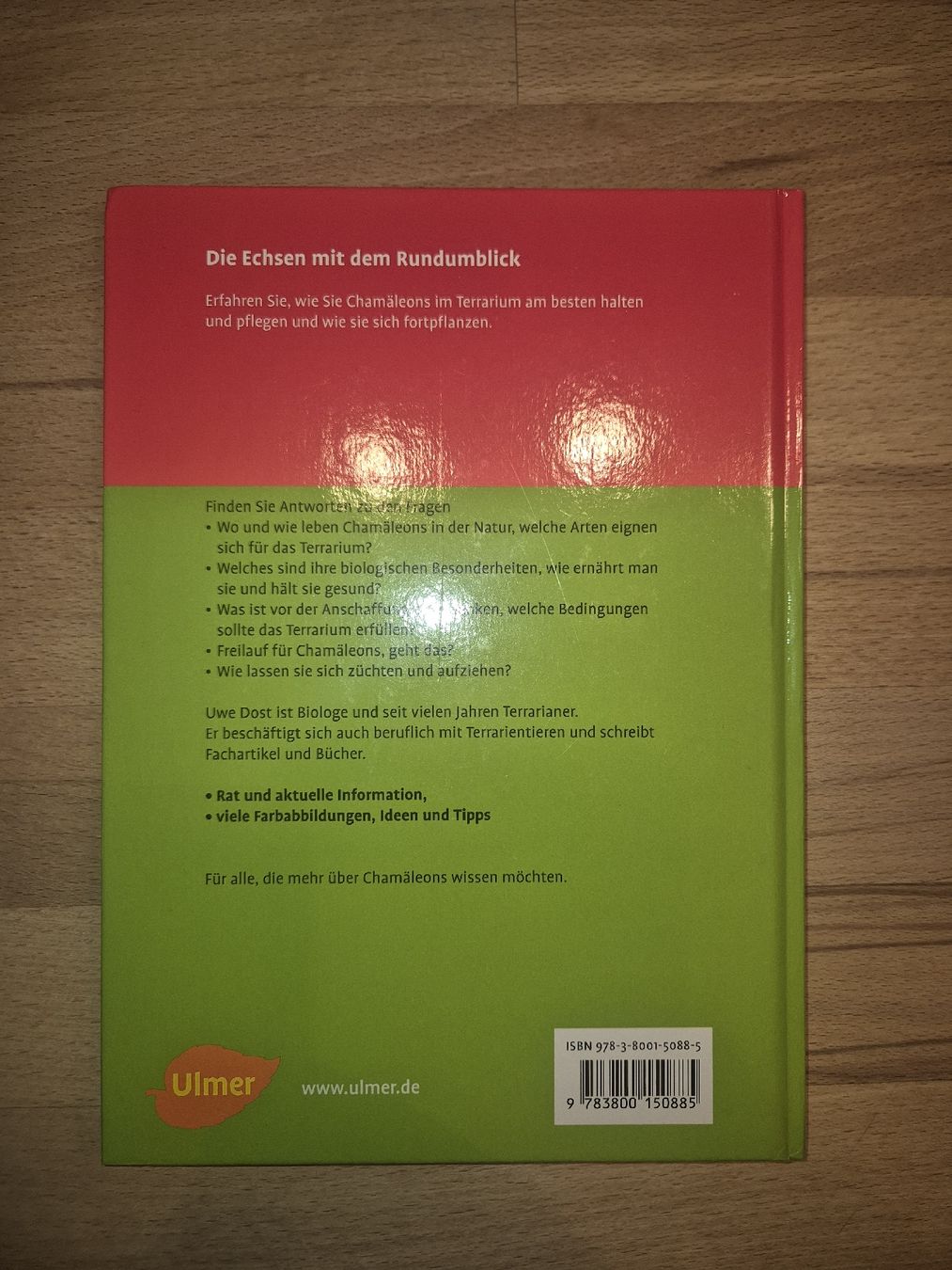 Libri: Chamäleons Buch – Usato da Hochdorf venduto da MS46 1