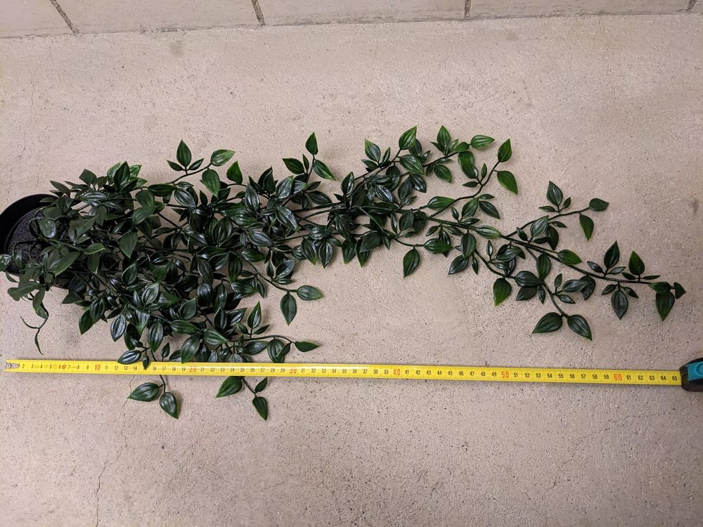 Künstliche Pflanze Ikea Kaufen auf Ricardo