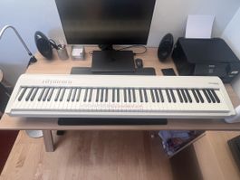 Roland FP-30X Digitalpiano weiss, sehr guter Zustand