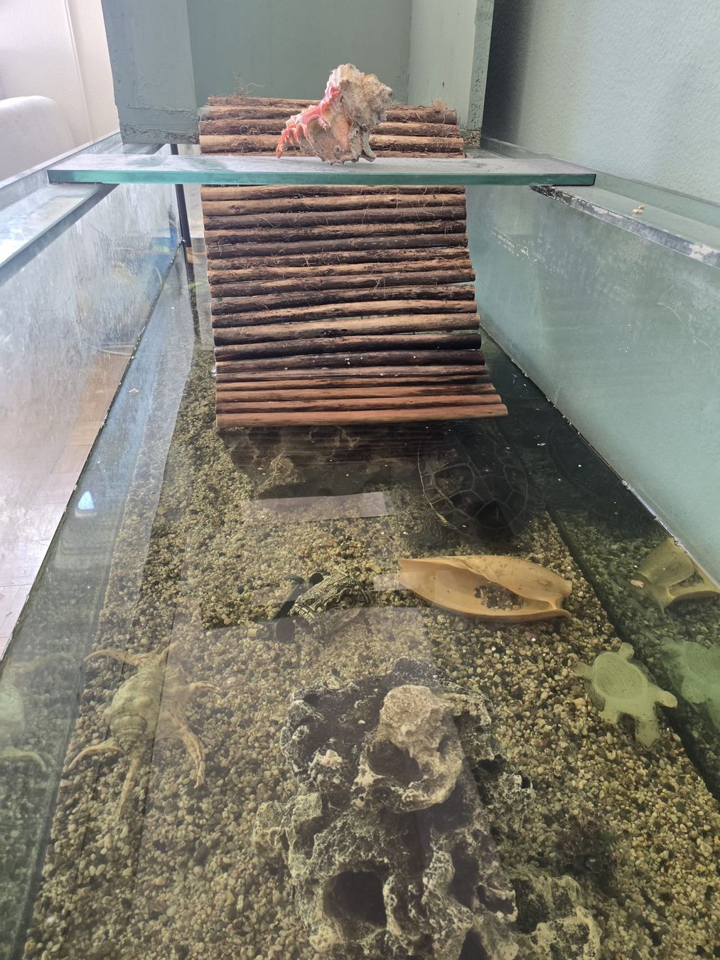 Acquari: Used Aquarium - 200x60x60cm – Usato da Zürich venduto da jjr_62ng 1