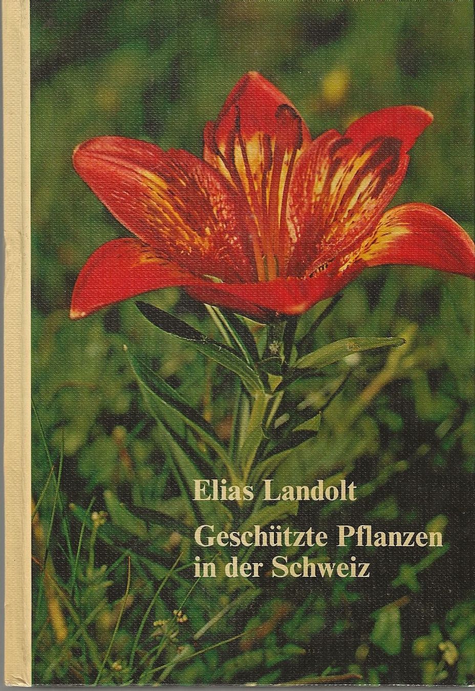 Libri: Geschützte Pflanzen in der Schweiz – Usato da Bern venduto da Grindelwaldaus