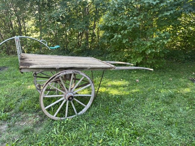 Carriole: Alter Holzwagen – Difettoso da Blausee Mitholz venduto da micninj