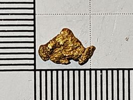 Natürliches schweizer Gold Nugget