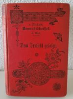 Jugendstil-Roman: Dem Irrlicht gefolgt