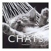 Chats de Jean-Claude Suarès