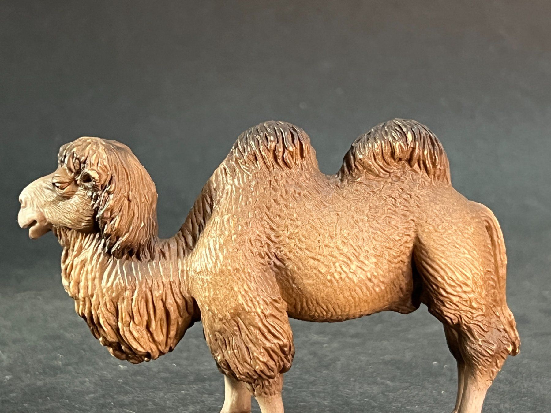 Schleich Statuette: Schleich Trampeltier Rarität Kamel – Usato da Ennetbaden venduto da mapa05 5
