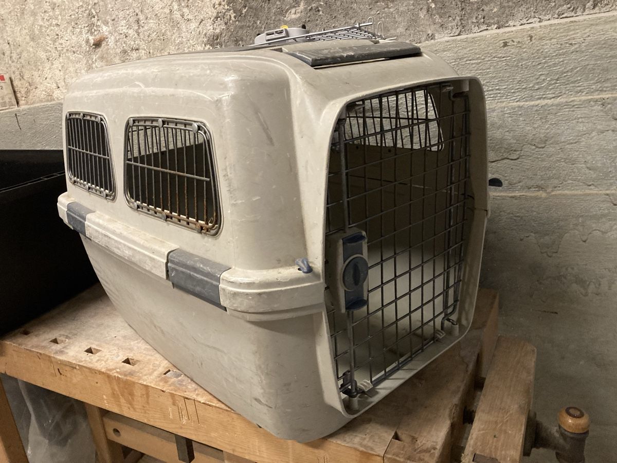 Niches, paniers: Hundetransportbox Grösse.  L gebraucht – D'occasion à Kilchberg ZH par etienne64 1