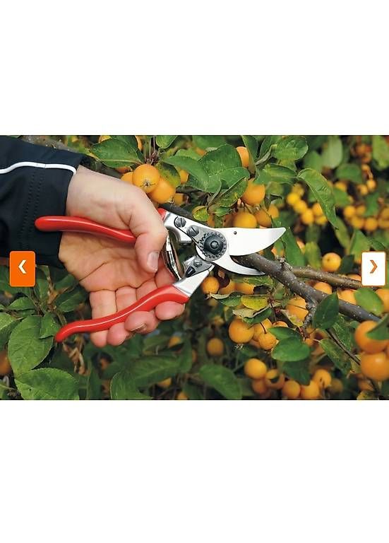 Alle Werkzeuge: Forbici da giardino Felco  – Gebraucht aus Losone von mar_n5ds