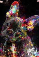 Diamond Painting Französische Bulldogge-78-Leucht-426