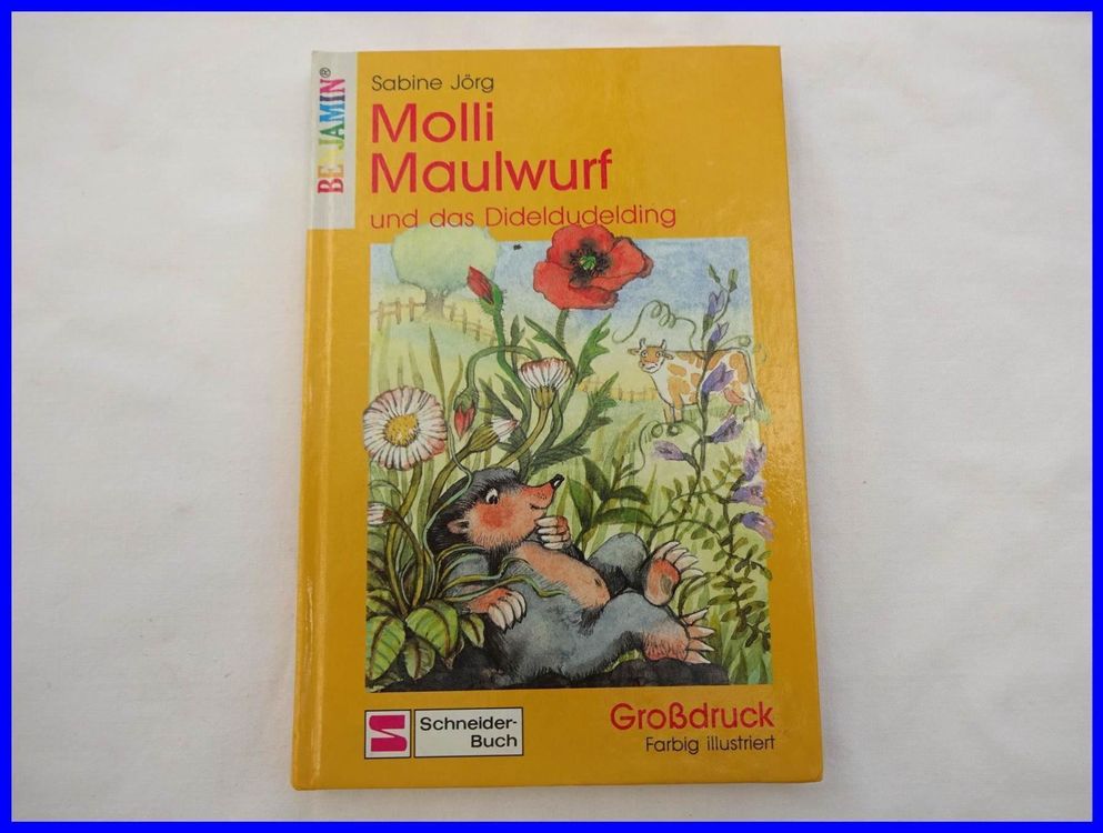 Kinderbuch: MOLLI MAULWURF und das Dideldudelding | Kaufen auf Ricardo