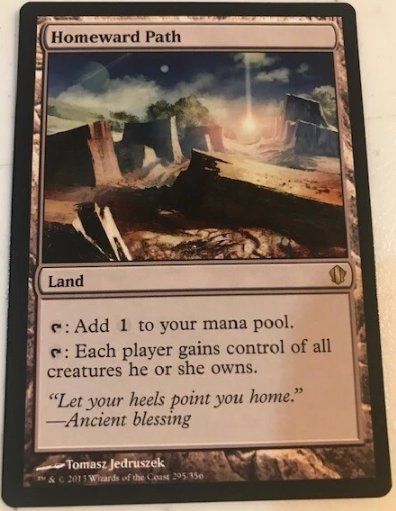 Magic The Gathering Carte collezionabili: Homeward Path - MtG - EN – Usato da Bolligen venduto da Gurkenfeld