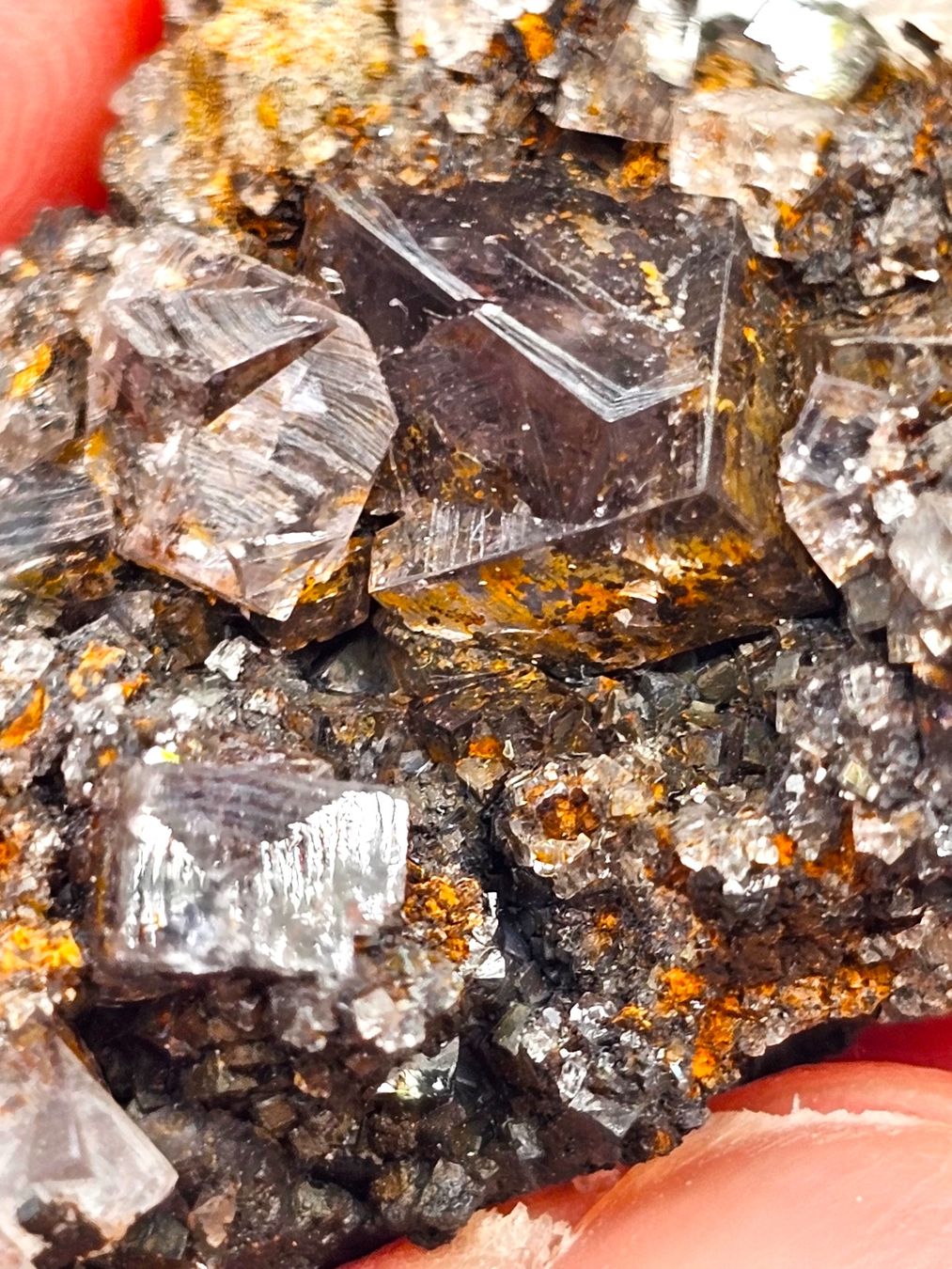 Mineralien & Heilsteine: Fluorite Weardale, County Durham, England, UK – Gebraucht aus Figino von panshop 5