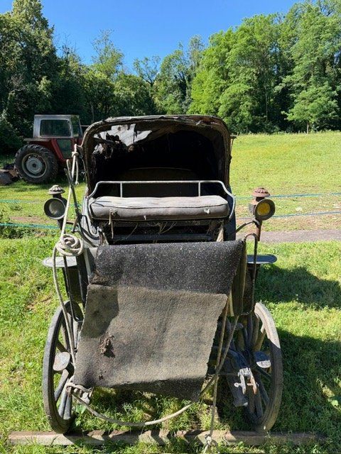 Kutschen: Vendo carrozza per cavalli – Gebraucht aus Stabio von bre_nql6 2