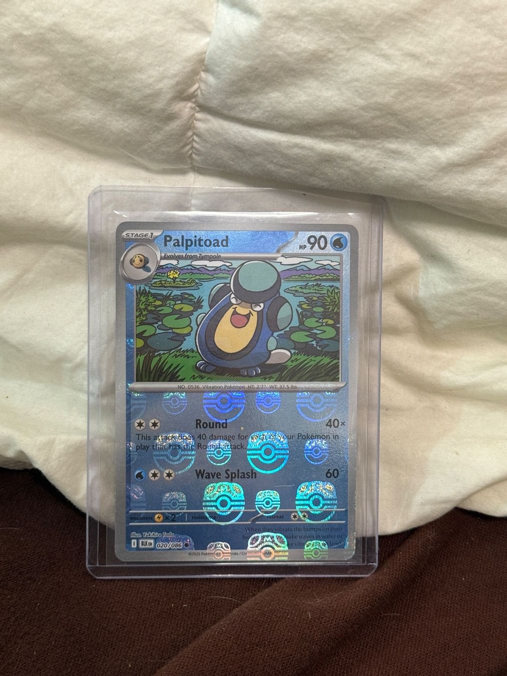 Pokémon Carte collezionabili: Pokemon Karte (Palpitoad) 020/086 -Masterball – Nuovo (secondo la descrizione) da Therwil venduto da no15636677