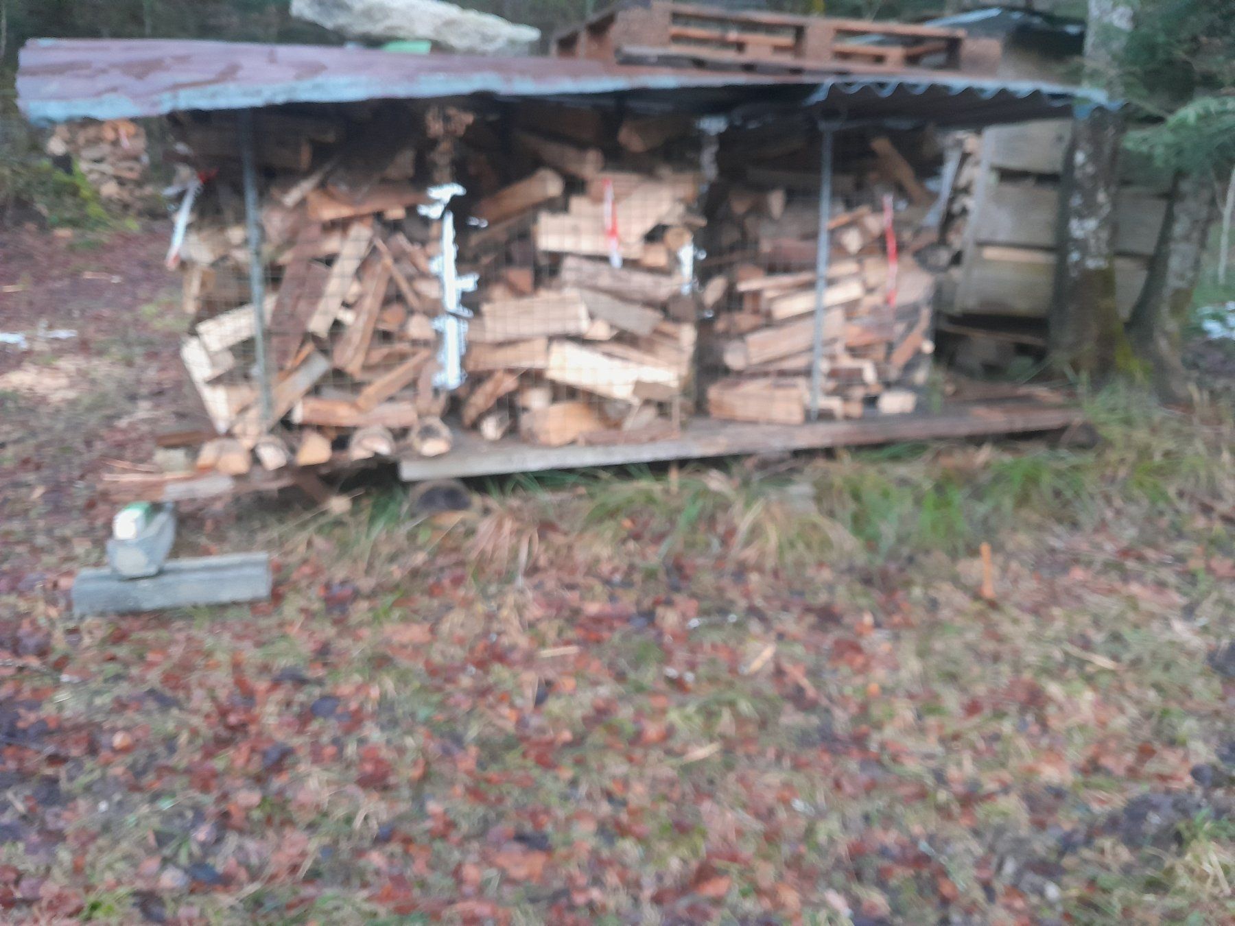 Articoli in legno: Brennholz – Usato da Kriens venduto da timber333