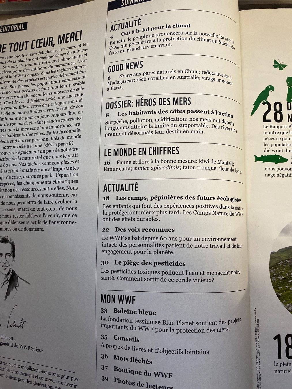 Riviste & Magazine: Magazine WWF - Renaissance des océans - 2021 – Usato da Le Brassus venduto da cinema13 1