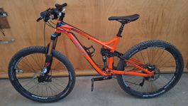 Trek Remedy