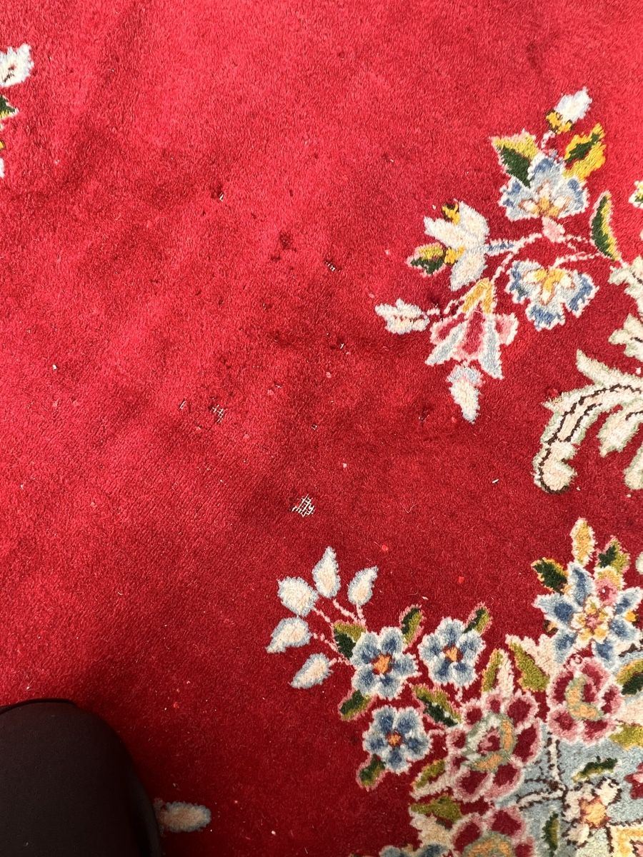 Tappeti: Orientteppich (301) – Usato da Glattfelden venduto da maa_qcj8 4