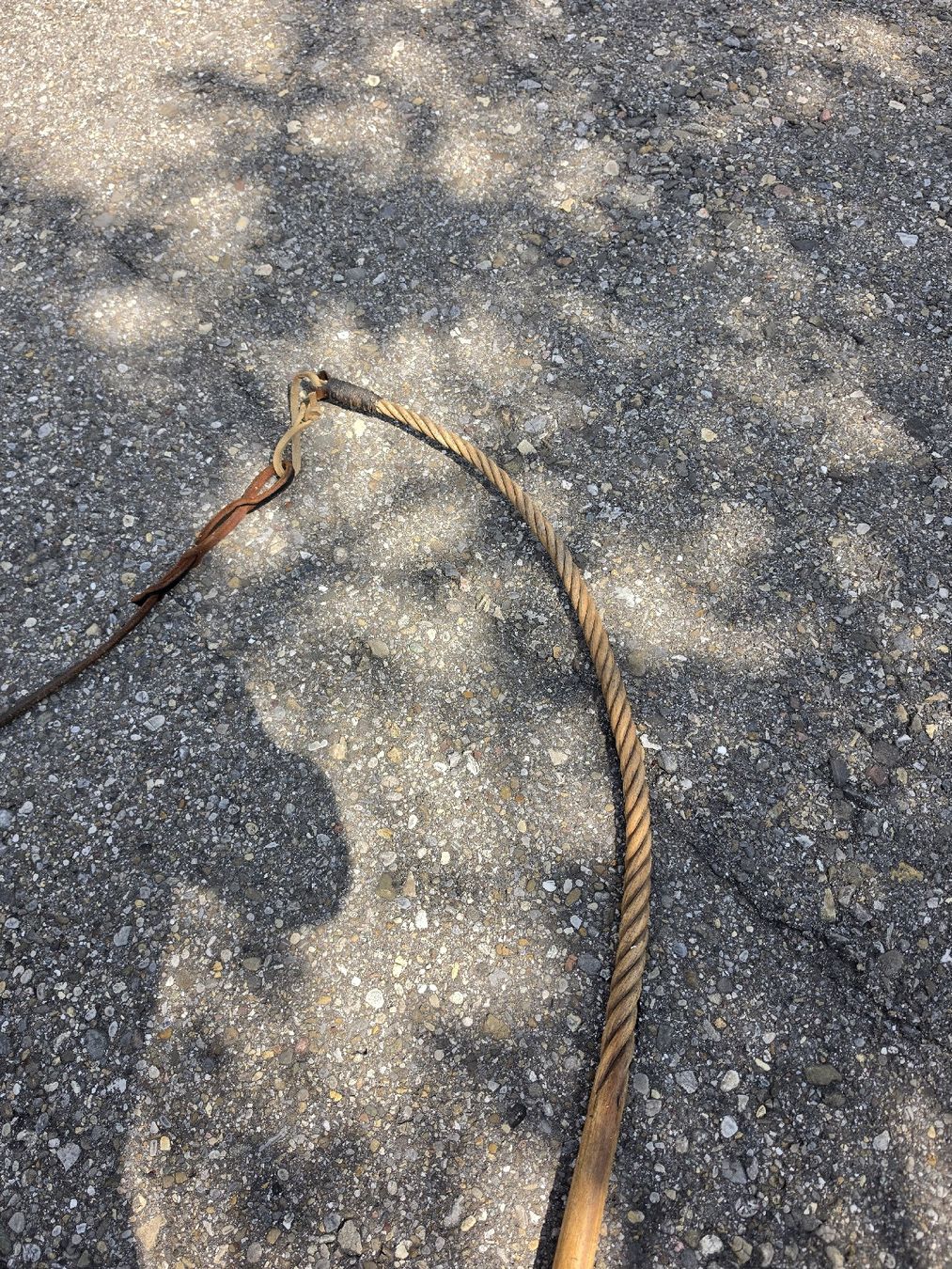 Sonstiges Tierzubehör: Peitsche mit Holzgriff Leder und Seil gebraucht – Gebraucht aus Mettlen von elios0888 2