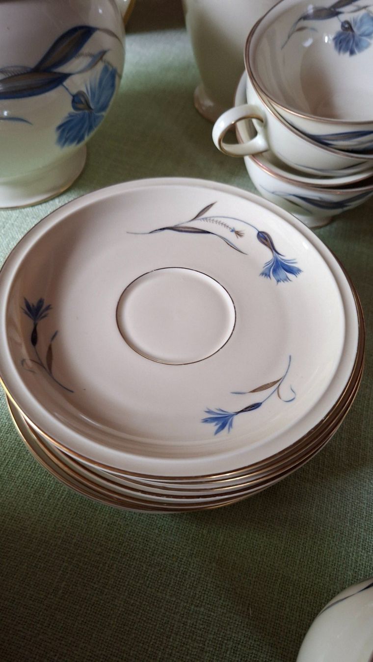 Rosenthal Set di piatti: Rosenthal Winifred Tee-/Kaffeeservice 29-teilig antik – Usato da Hittnau venduto da Agi010 2