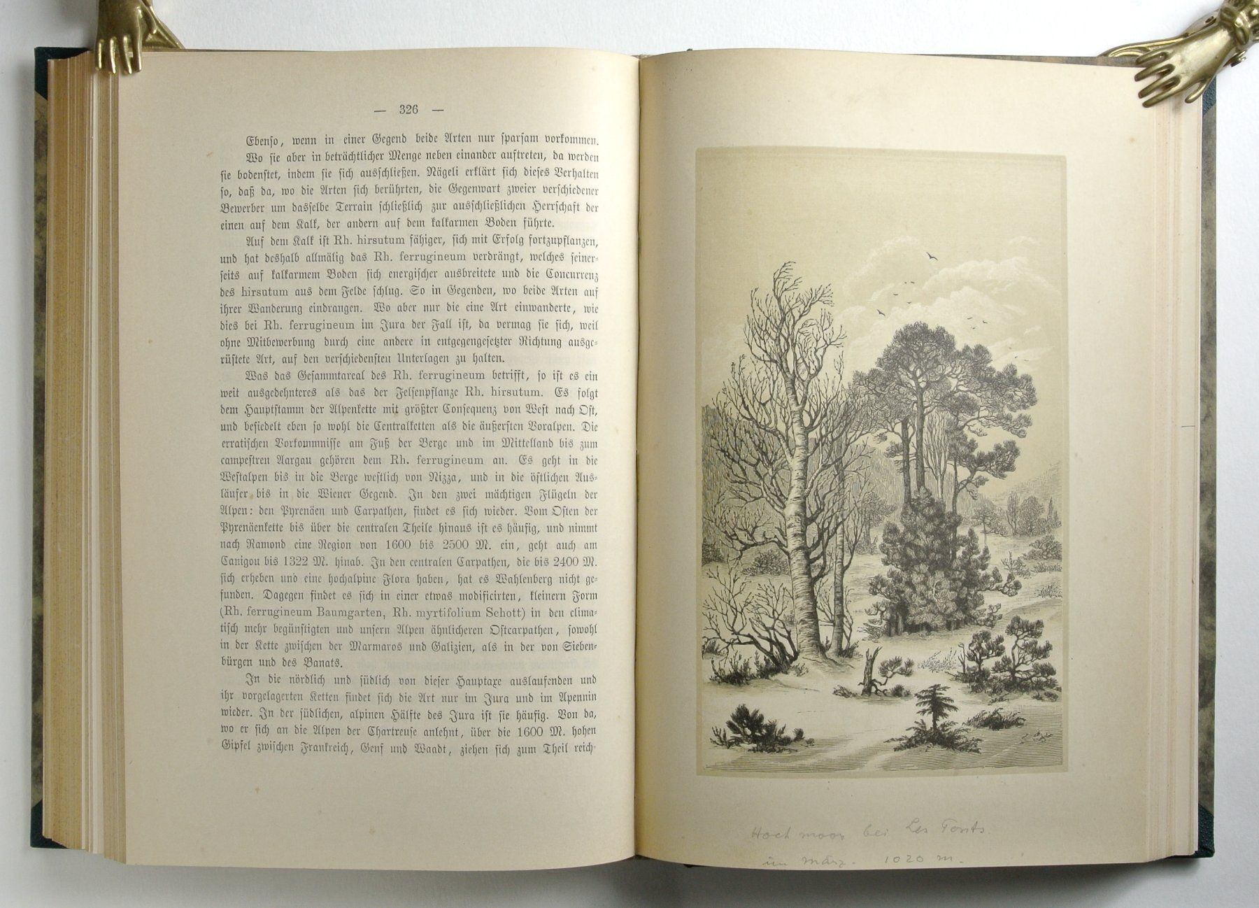 Libri: Christ, H. Das Pflanzenleben der Schweiz. Mit einigen Abb. – Usato da Erschwil venduto da taglang 2