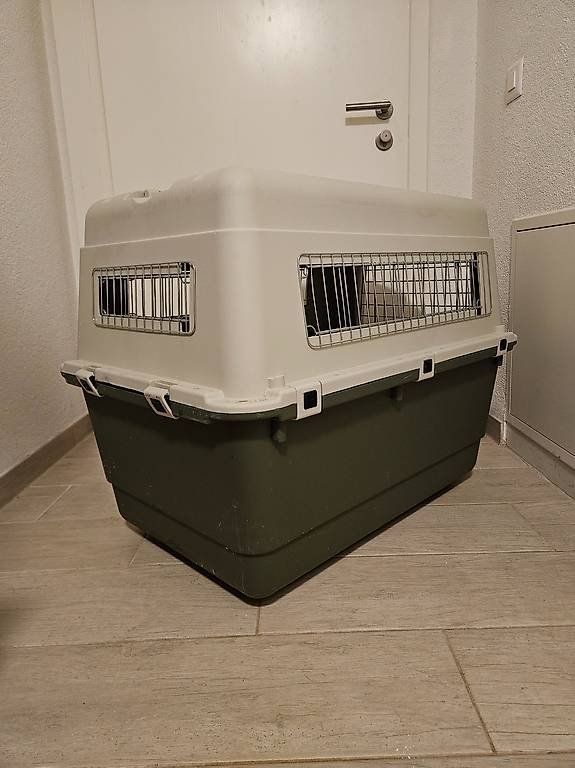 Gabbie, trasporto & Sicurezza: Transportbox Feria (Hundebox) – Usato da Neunkirch venduto da shortina 2