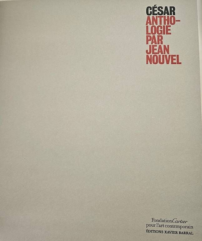 Libri: César Baldaccini Ausstellungskatalog Fondation Cartier – Usato da Zürich venduto da Nistiman 1