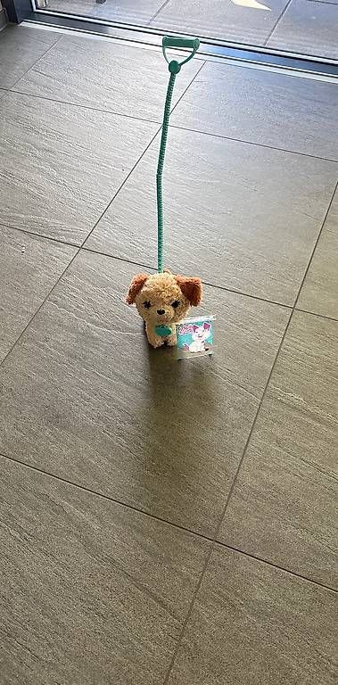 FurReal Spielzeuge: Furreal Friends  Mein Hund – Gebraucht aus Bellach von Fschoenbaechler