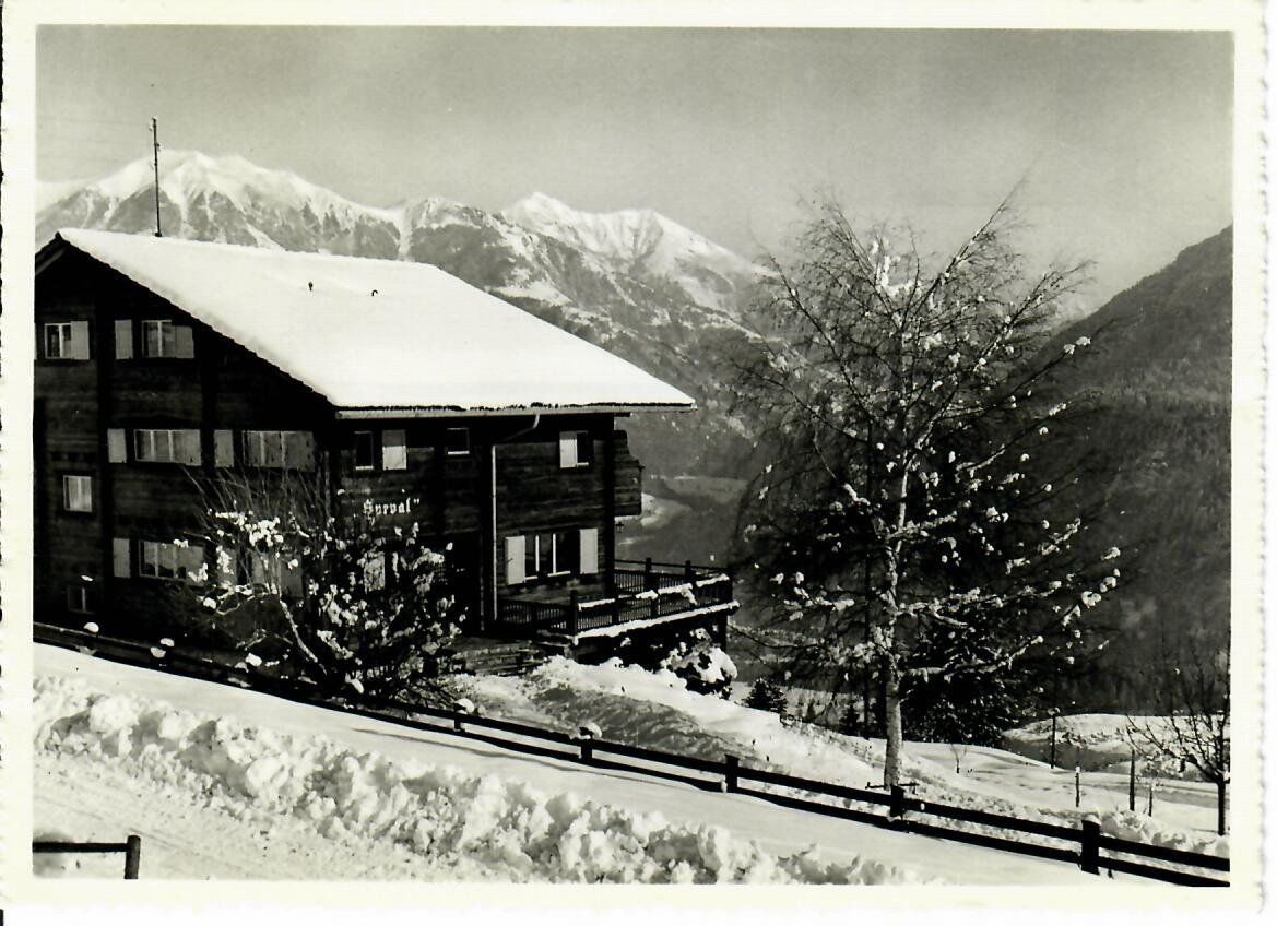 Cartoline postali: Haus Surval Flerden – Usato da Hochdorf venduto da Ziegel-16