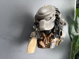 Predator Büste Spardose ! Rarität