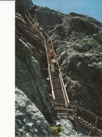 Grindelwald 1967