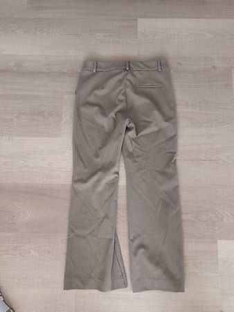 Mango Business Hose