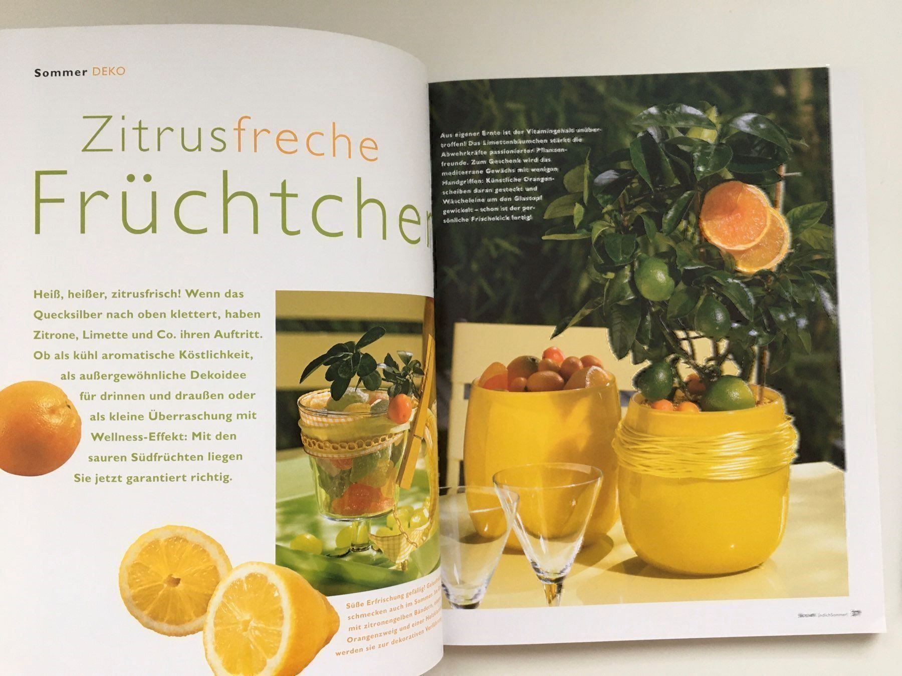 Bücher: ENDLICH SOMMER - BUCH – Gebraucht aus Malters von Kuettel1 1