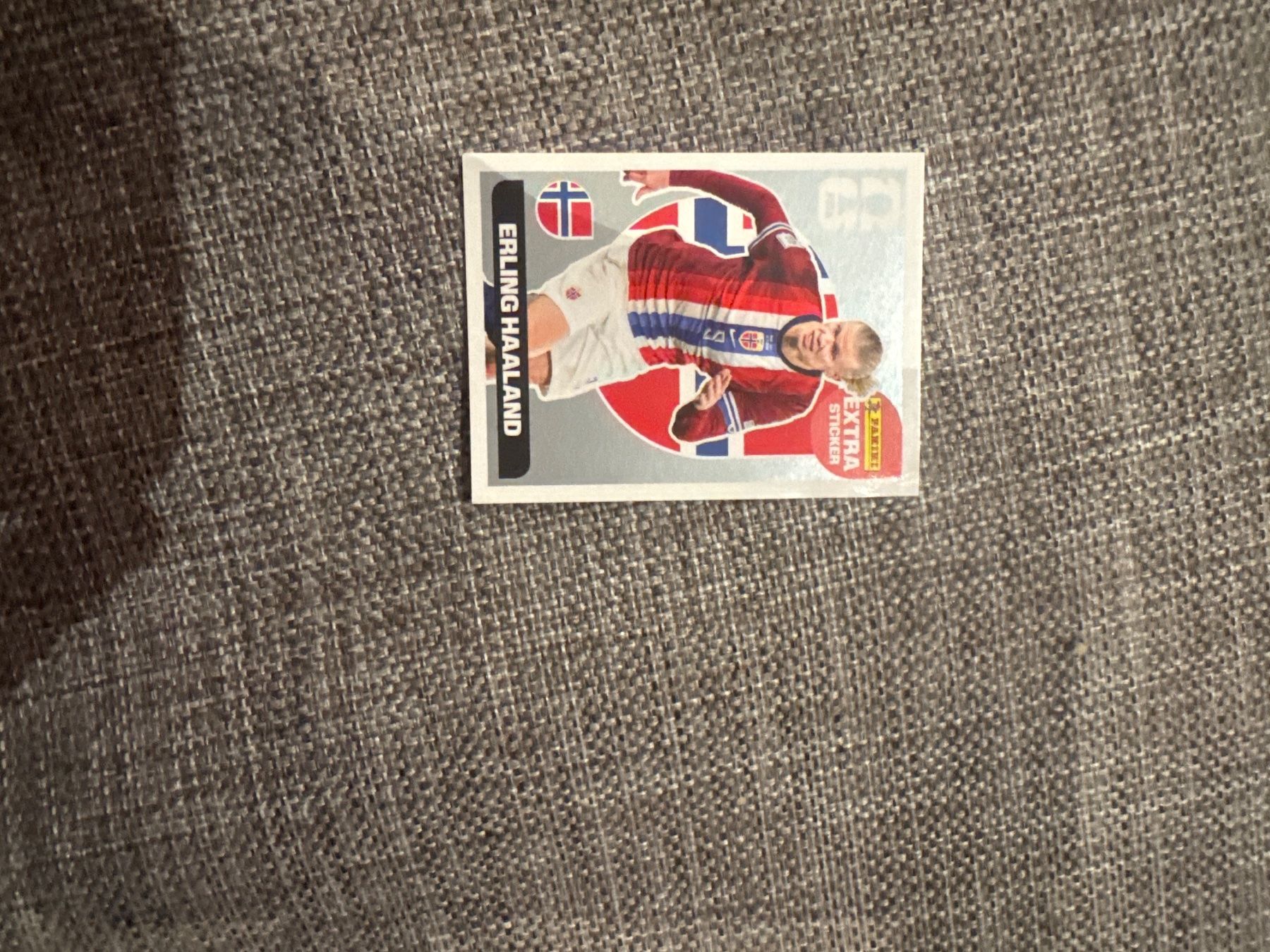 Panini Carte collezionabili: Panini extra Sticker Erling Haaland Silber – Nuovo (secondo la descrizione) da Vordemwald venduto da yan_hh6b