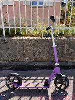 Micro Cruiser / Scooter / Trotti
