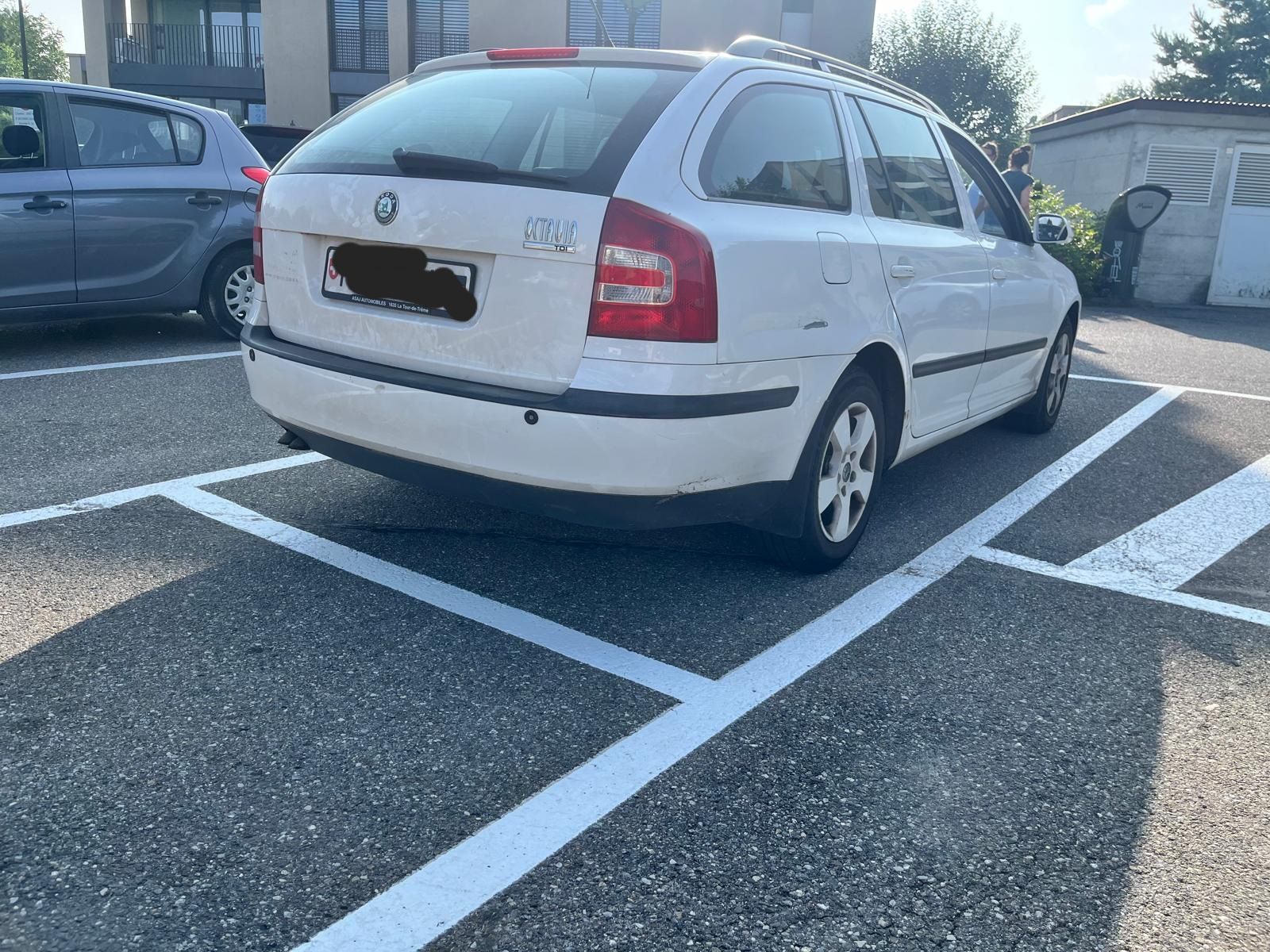 Skoda Automobili: skoda octavia 1.9 tdi – Usato da Bulle venduto da Mar1200 1