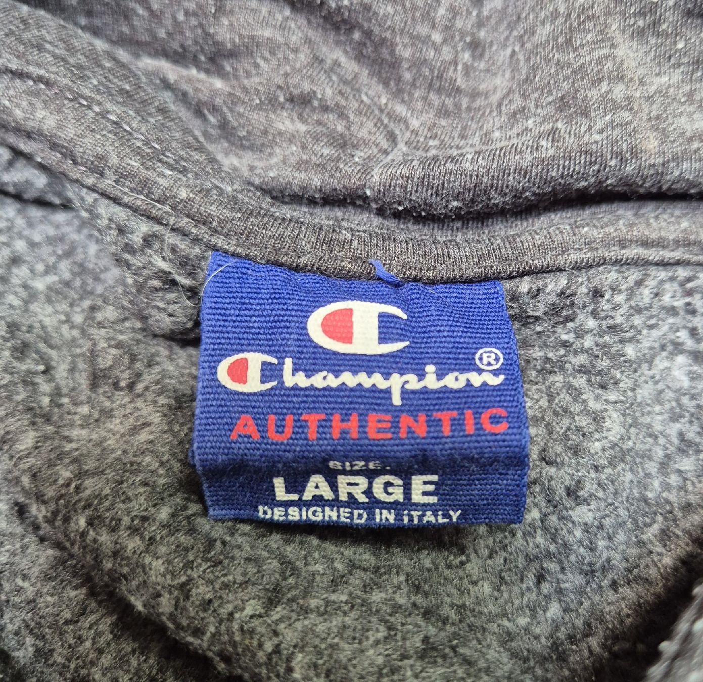 Champion Maglioni & Felpe: Champion Hoodie Grösse L – Usato da St. Gallen venduto da CaliSunshine 2