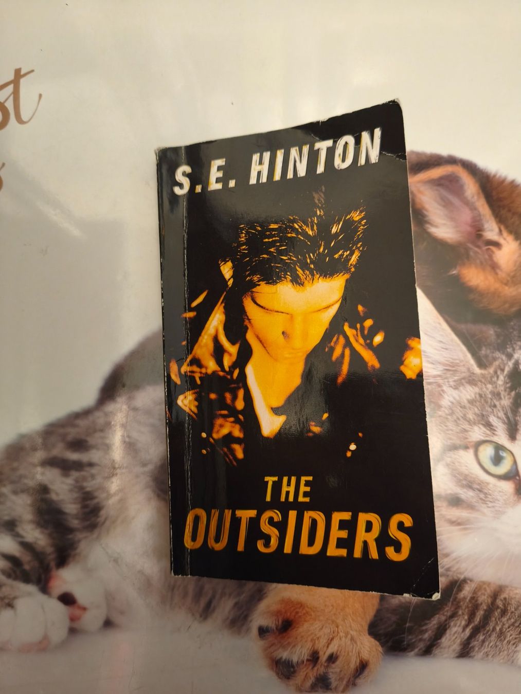 Libri: The Outsiders von S.E. Hinton – Usato da Starrkirch-Wil venduto da wae_xd2j