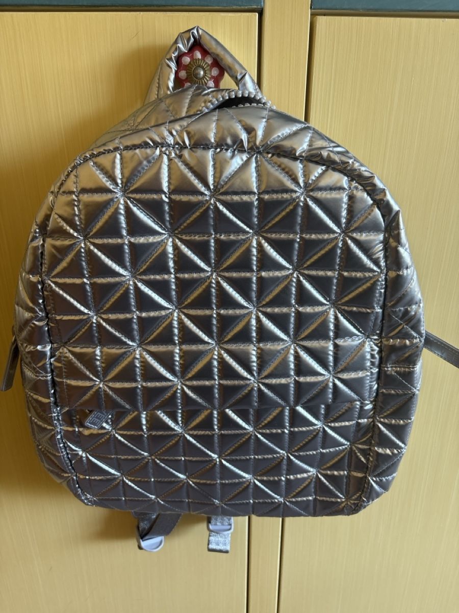 Rucksäcke: VEE Collective backpack chrome metallic – Neu (gemäss Beschreibung) aus Zürich von Dashi