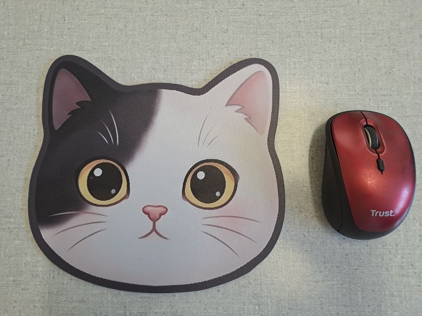 Tapis de souris: Mausmatte Katze Jenny – Neuf (Voir description) à Uznach par Walaylatiere 1
